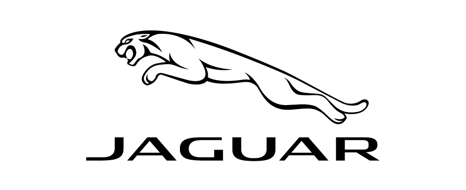 logo jaguar per il sito dell'agenzia di comunicazione a torino: domilea studio